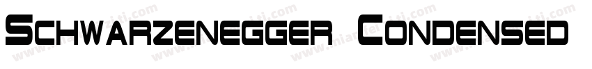 Schwarzenegger Condensed Regular字体转换